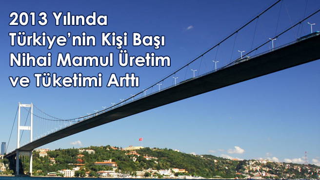 2013 Yılında Türkiye'nin Kişi Başı Nihai Mamul Üretim ve Tüketimi Arttı