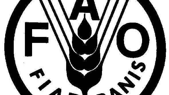 FAO: Gıda fiyatları 6 ay daha yüksek kalabilir