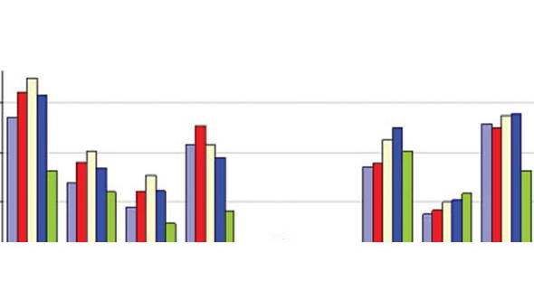 Global ve Çin Paslanmaz Çelik Endüstrisi Raporu 