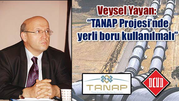 Veysel Yayan: TANAP Projesi'nde yerli boru kullanılmalı