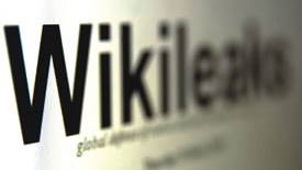 Durmazlar, Ermaksan ve Baykal Wikileaks Belgelerinde